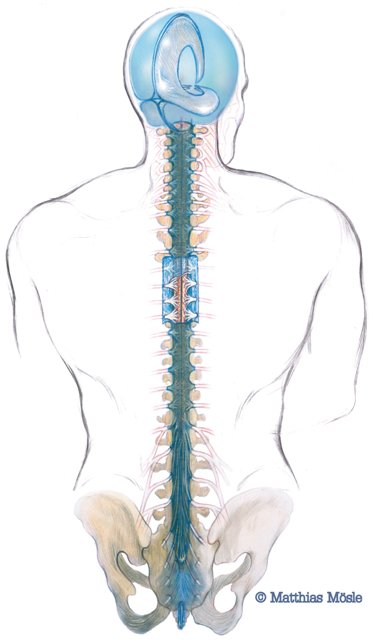 CranioSacrales System – © Matthias Mösle